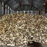 Firewood Image 2