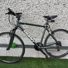 Mens Giant Mountain Bike