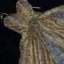 Debs Dress Image 3