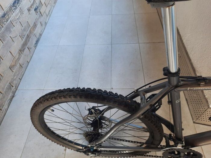 Diamondback