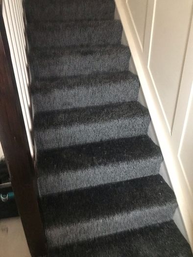 Carpet