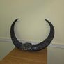 African Water Buffalo Horns Image 7