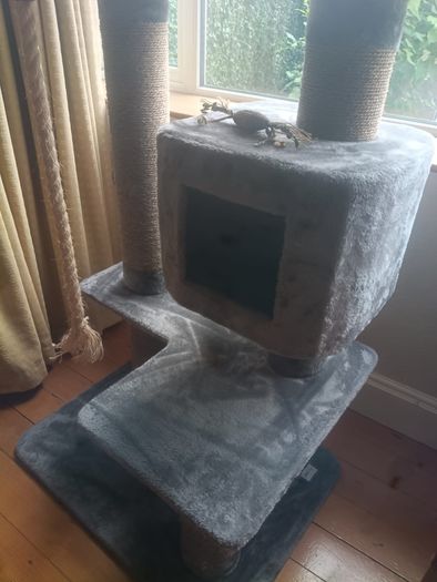 cat scratching post