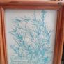 4 x vintage botanical frames Image 2