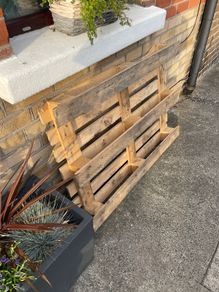 wooden pallet FREE