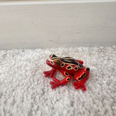 Schleich African Reed Frog wild life approx. 4 cm. Used Please see photos