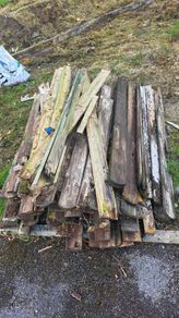 Free pile of wood