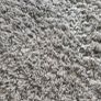 rug Image 2