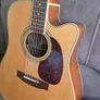 Zager ZAD-50CE Natural Image 8