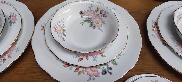 Dinner Set Elizabethan Hand Decorated Fine Bone China England