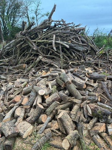 Firewood