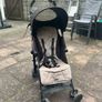 buggy Image 3
