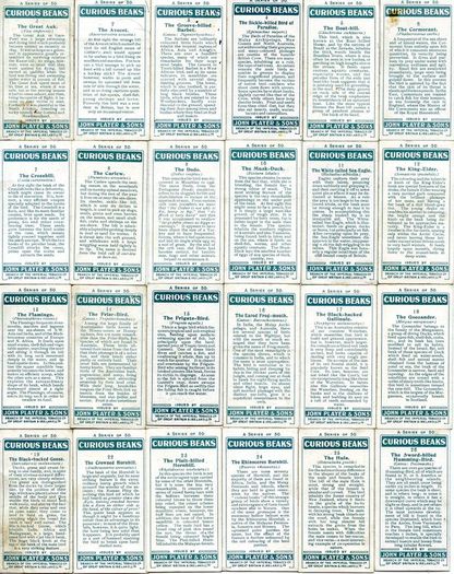 John Player 1929 Cigarette Cards - Curious Beaks - FREE POSTAGE