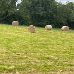 40 Bales of hay for sale 35 per bale