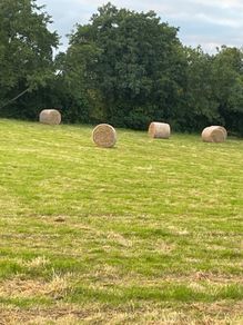 40 Bales of hay for sale 35 per bale