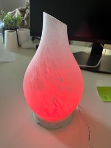 Glass Oil Diffuser