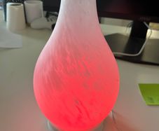 Glass Oil Diffuser