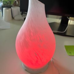 Glass Oil Diffuser