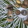 Vintage Brass Door Furniture Image 3
