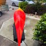 Kayak Image 3