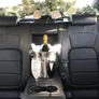 Wedding Car Hire - Luxury Modern cars Image 2