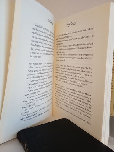 The Woman Novelist and Other Stories by Diana Gardner (HQ576)