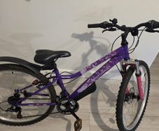 Apollo Independence Mountain Bike