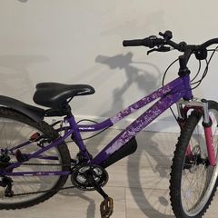 Apollo Independence Mountain Bike
