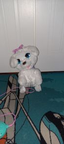 Remote control toy dog