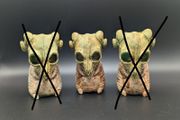 Small skull models 3d printed