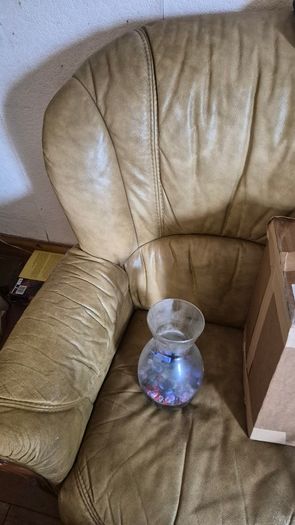 Free 2-Seater Leather Sofa
