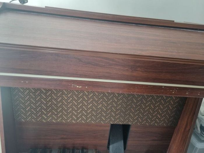 Electric organ