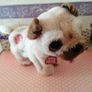 Pets Alive Pug Puppy Image 4