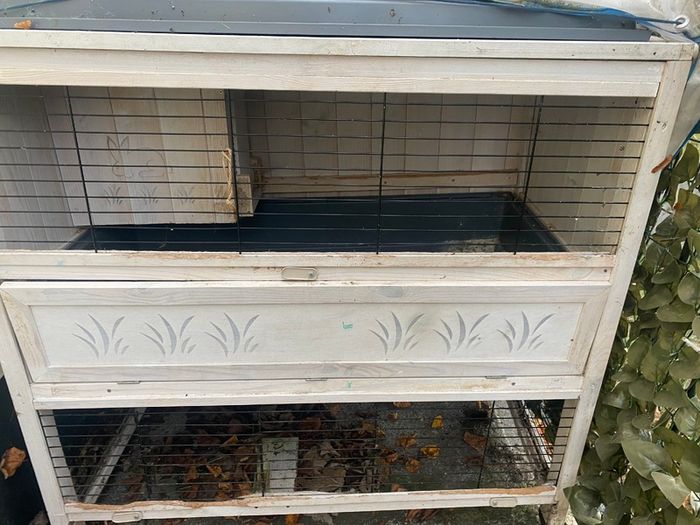 Rabbit hut