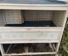 Rabbit hut