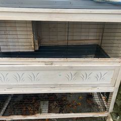Rabbit hut