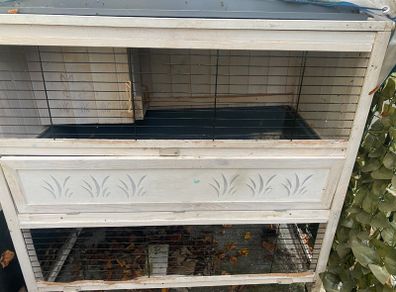 Rabbit hut