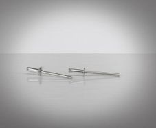 Rivets  6mmx12mm