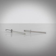 Rivets  6mmx12mm