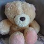 Soft Toys- Bears Image 2