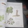 Acrylics: Step-By-Step Acrylics for the Absolute Beginner (Collins You Can Paint) Image 8