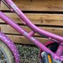 Pendleton Kids Bike Image 3