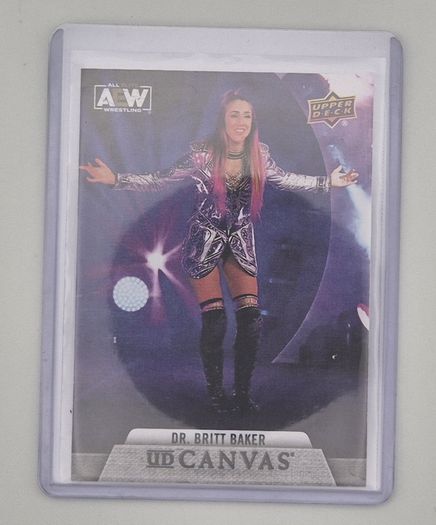 AEW Upper Deck 2021 UD CANVAS Wrestking Trading Card Bundle