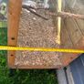 Bird cage Image 2