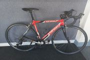 Tifosi Road Bike