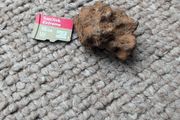 Meteorite Sericho pallasite 11.67g