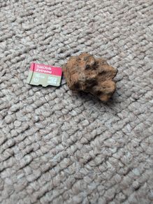 Meteorite Sericho pallasite 11.67g