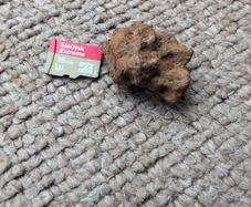 Meteorite Sericho pallasite 11.67g