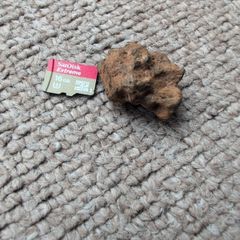 Meteorite Sericho pallasite 11.67g