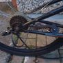 bike Image 4
